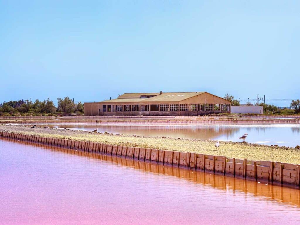 Grands bassins roses de salins avec un bâtiment, une digue en terre et deux oiseaux, sous un ciel bleu clair.